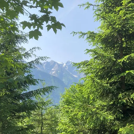 Nr 21 Haus Voglreiter Lägenhet