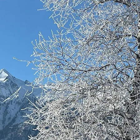 Nr 21 Haus Voglreiter Lägenhet