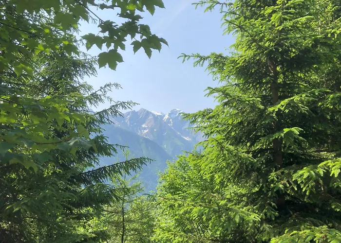 Nr 21 Haus Voglreiter Apartment