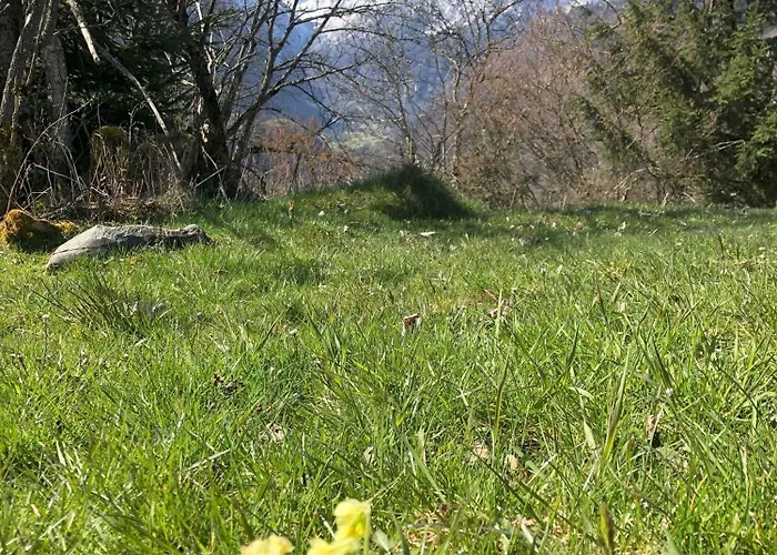 Nr 21 Haus Voglreiter Apartment *