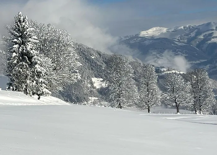 Nr 21 Haus Voglreiter Appartement *