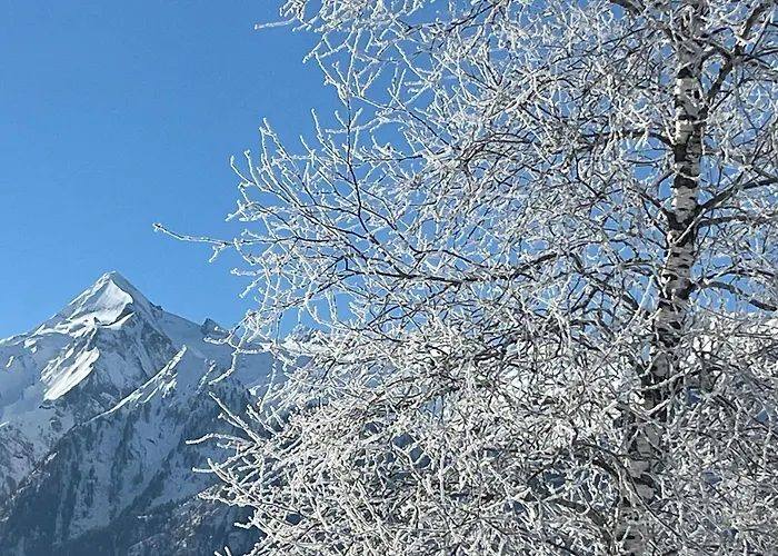 Nr 21 Haus Voglreiter Apartment