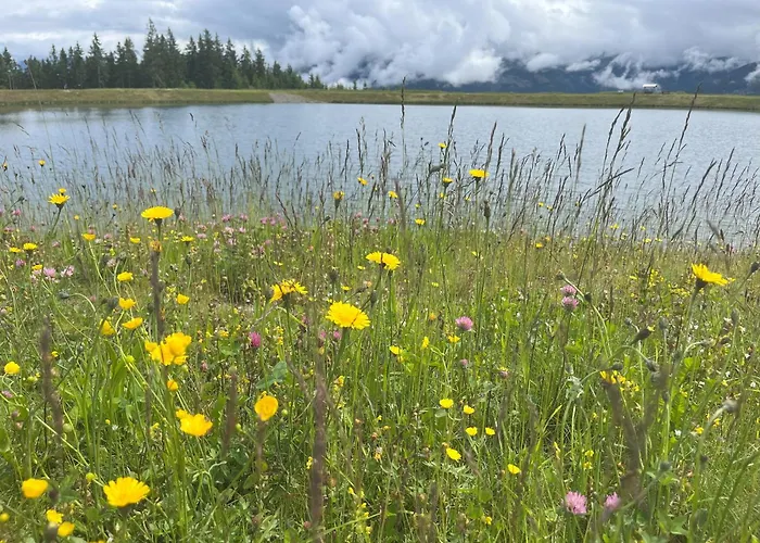 Appartement Nr 21 Haus Voglreiter
